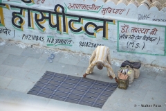india (20 di 86)