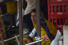 india (49 di 86)
