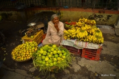 india (53 di 86)
